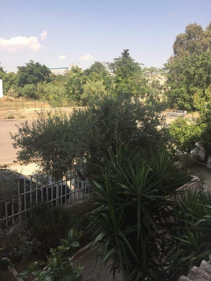 Cozy Apartment Near Metro Station Agia Marina Афины Экстерьер фото